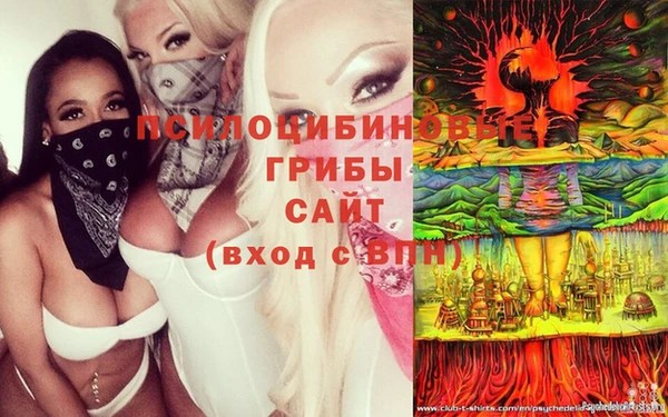 стафф Арсеньев