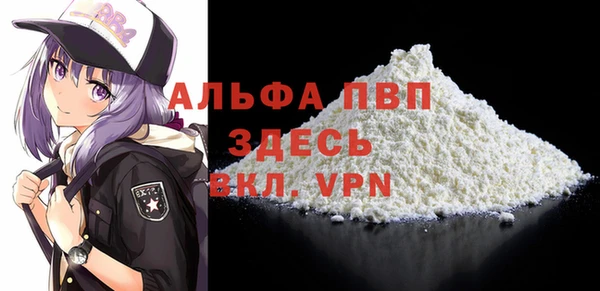 стафф Арсеньев