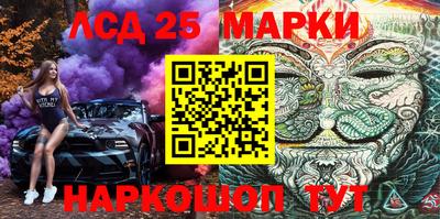 ALPHA PVP Гатчина