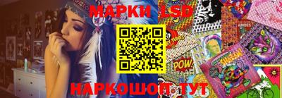 ALPHA PVP Гатчина