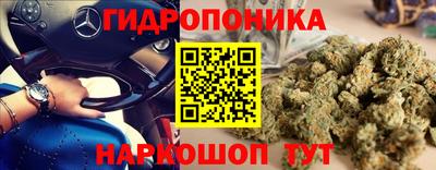 дживик Берёзовский