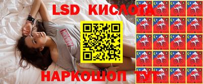 ALPHA PVP Гатчина