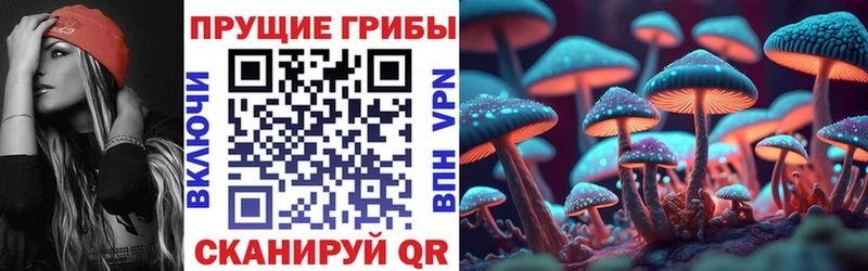 Псилоцибиновые грибы Cubensis  kraken сайт  Глазов 