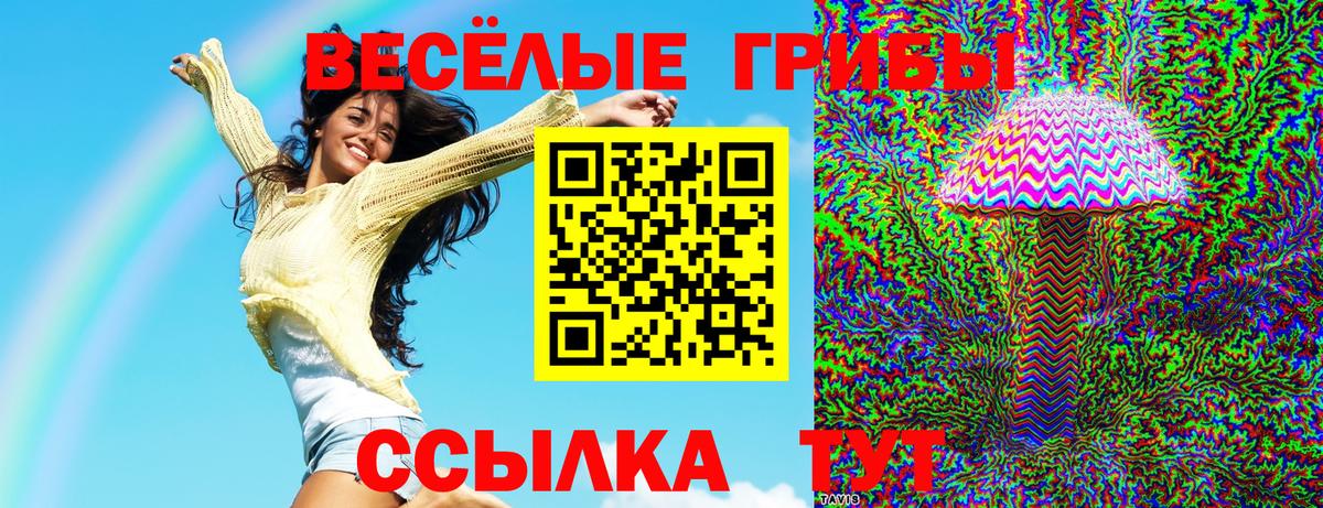 Галлюциногенные грибы прущие грибы  Вход с VPN  Глазов 
