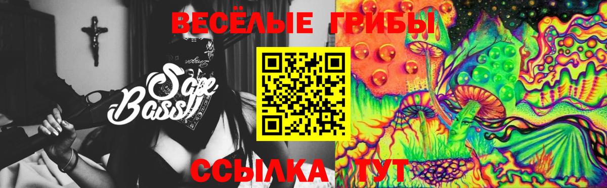 Псилоцибиновые грибы мицелий  Глазов  Псилоцибиновые грибы GOLDEN TEACHER 