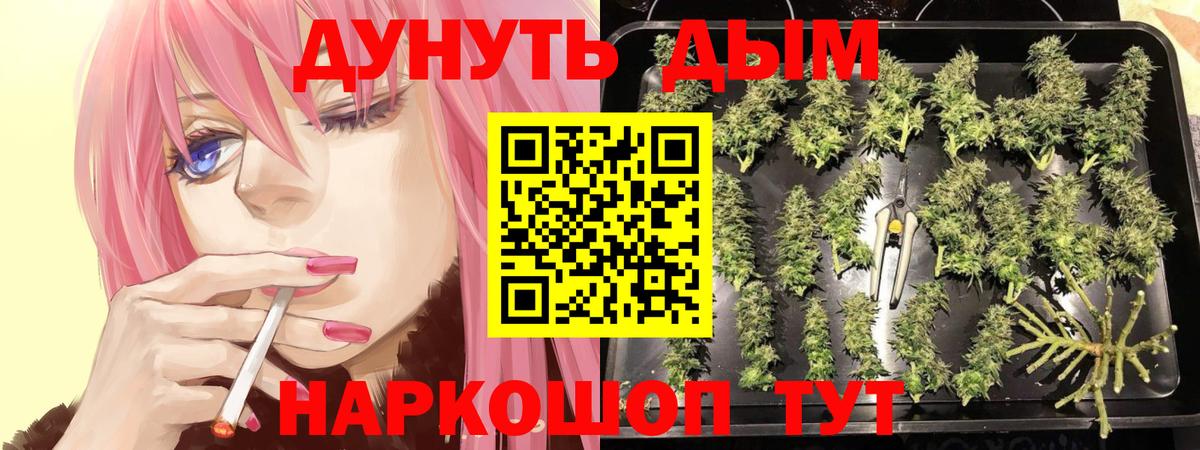 МАРИХУАНА Amnesia  Каннабис гибрид  Вход с VPN  МАРИХУАНА SATIVA & INDICA  Глазов  Бошки марихуана тримм 
